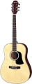 Акустическая гитара Aria Aw-30