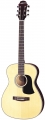 Акустическая гитара Aria AF-20