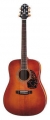Акустическая гитара Crafter DV 250/VTG